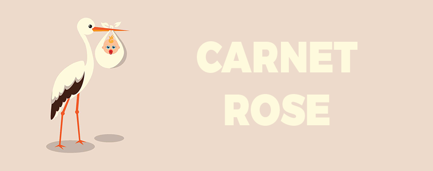 Carnet rose - Bienvenue à Léonie Simon! - Puk & Match 65