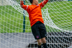 IMG_8223