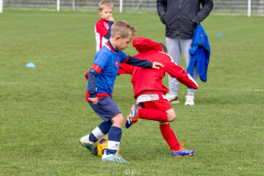 IMG_2351